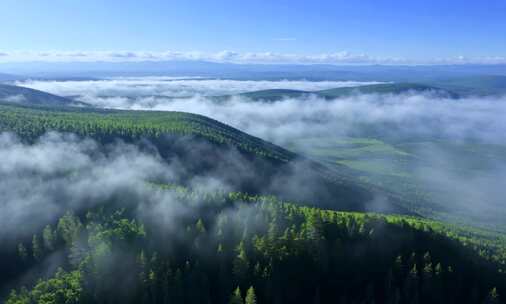 航拍大兴安岭山林云雾风景