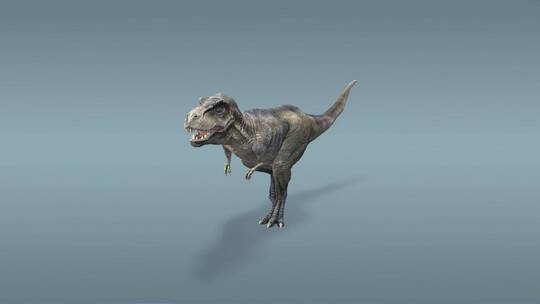 霸王龙 食肉恐龙 恐龙 三维 动画 古代