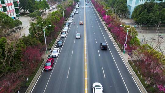 苍溪交通道路车流