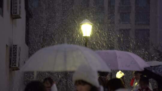 山东威海火炬八街雪天街头路灯雪花