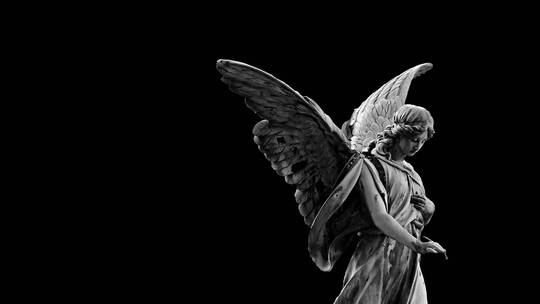 女人天使拍打着黑色的翅膀