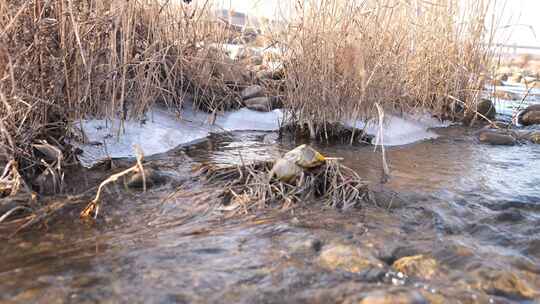 冰融 冬天 初春 水面 河流 冰雪融化 自然