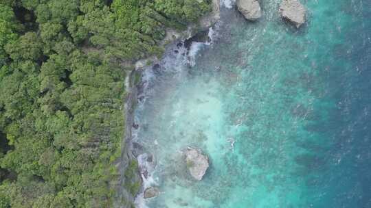 陆地和海洋