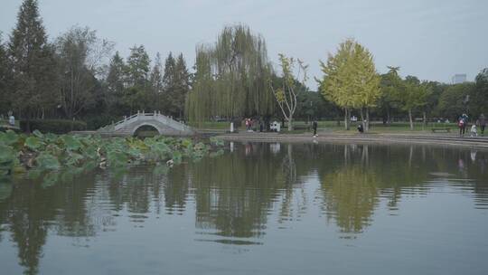 长沙橘子洲风景人文视频