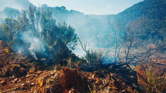 巴西高地浓烟滚滚的野火