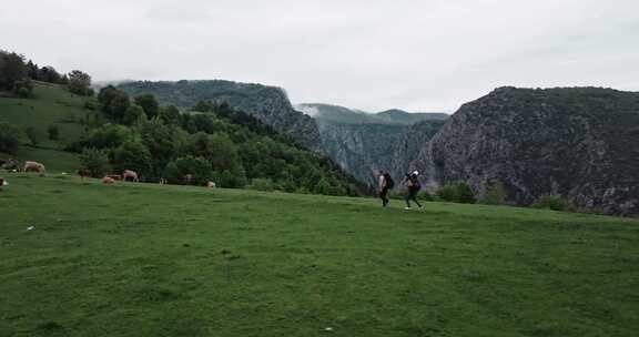 徒步旅行，游客，野外徒步旅行，徒步旅行者