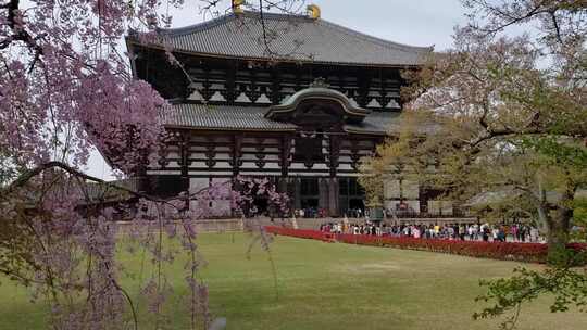 奈良市的日本寺庙