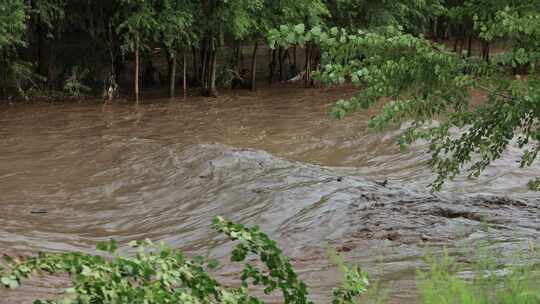 实拍暴雨后洪水 山洪  泥石流