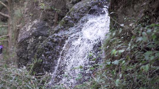 山泉小溪流水升格水流