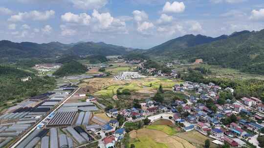 秋收美丽乡村田园农田金黄稻田航拍