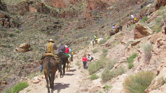 骑马队沿着小路到大峡谷的底部视频素材模板下载