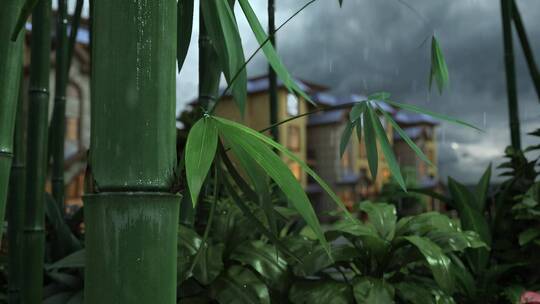 三维地产竹子雨天别墅视频素材模板下载