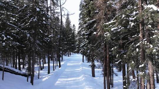 航拍新疆冬季喀纳斯神仙湾晨雾雪山森林雪景