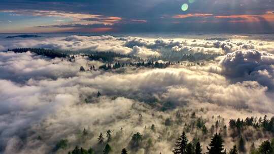 森林阳光云海森林云雾缭绕树林山大自然风景