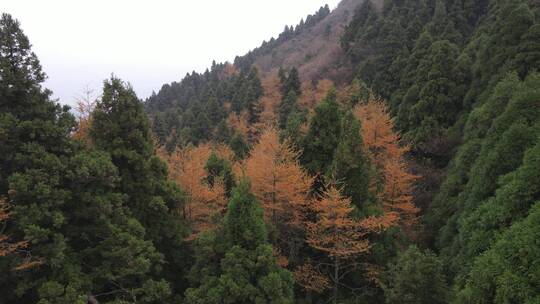 航拍湖南南岳衡山5A景区