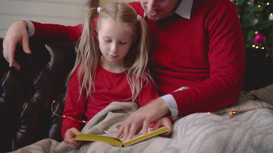 圣诞节父女一起读书