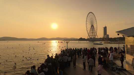 无锡蠡湖黄昏时分水面上海鸥飞翔的景象