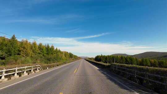 【合集】秋天森林道路开车 自驾游森林公路