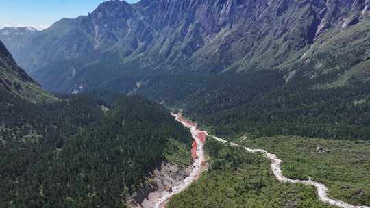 航拍四川甘孜贡嘎山区南门关沟森林河谷风光