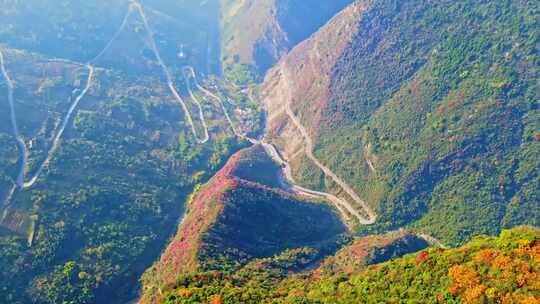 三峡红叶