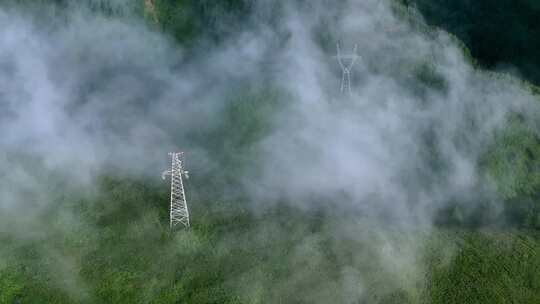 原始森林高压线电塔