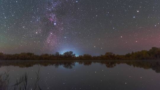 甘肃金塔胡杨林星空银河