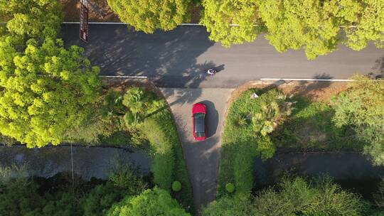 上海 崇明岛 汽车 旅拍 风景 树林