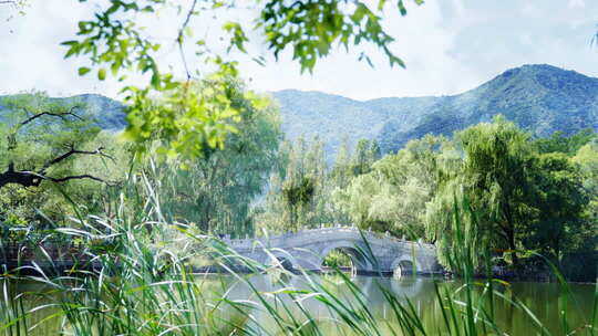 夏天阳光树叶光影逆光小清新空镜双重曝光