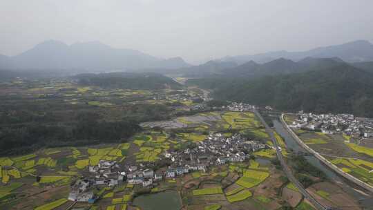 油菜花开 宣城市绩溪县伏岭村风光航拍素材