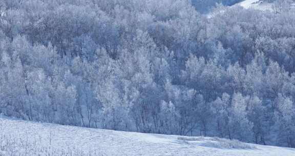 雾凇 雪景 纯净 唯美 冬季