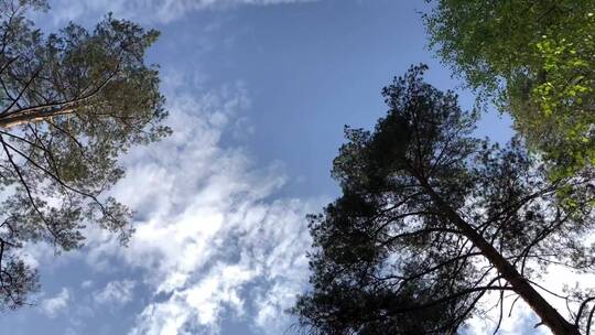 延时模式下拍摄的云和树