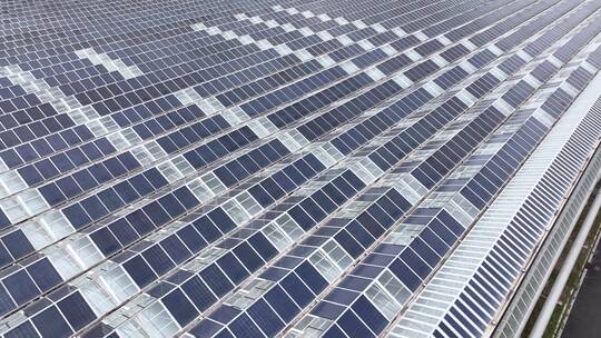 现代玻璃房农业大棚屋顶太阳能光伏发电