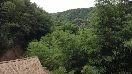 西安灞桥鲸鱼沟竹海风景区