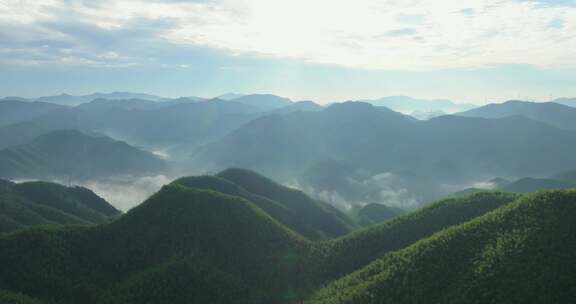 高山竹海云雾云海航拍杭州余杭百丈