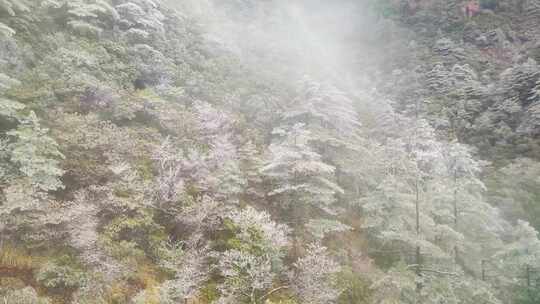 安徽黄山索道缆车雪山美景风景视频素材