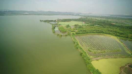 武汉湖边不规则形状的养殖地航拍