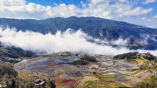 山间云雾缭绕的多彩梯田风景