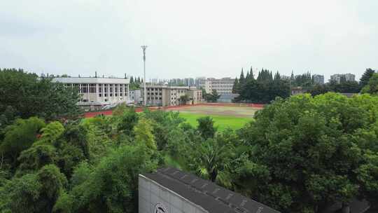 学校参天大树教学楼