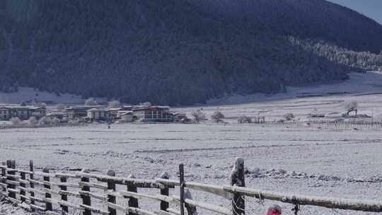 大雪后的西藏鲁朗风光