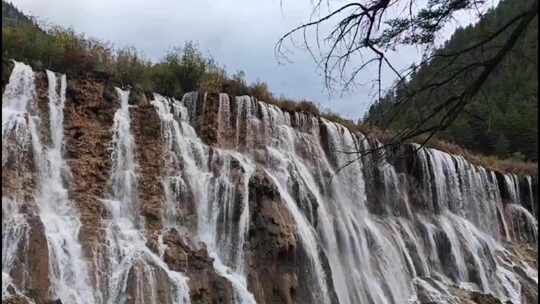 四川阿坝州九寨沟景区诺日朗瀑布