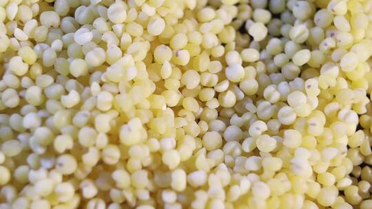 黄米小米粮食粗粮