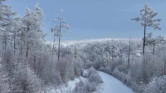 林海雪原雪林和山路