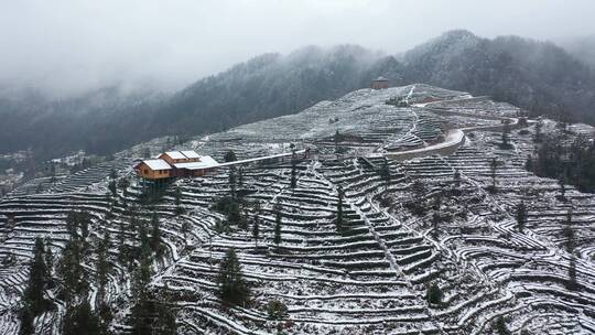 航拍茶园冬季雪景冰雪覆盖洁白世界