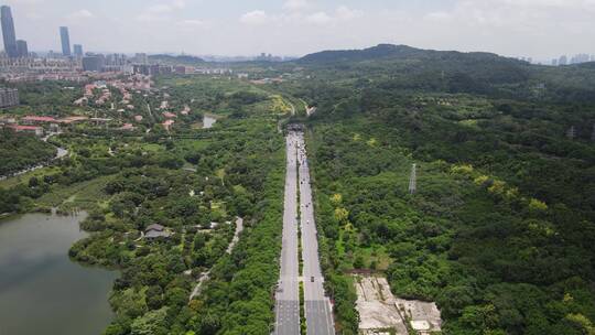 广西南宁青秀山5A景区航拍视频素材模板下载