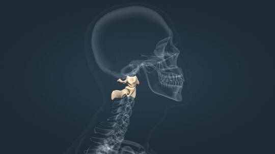 颈椎寰枕关节寰枢椎运动动画视频素材模板下载