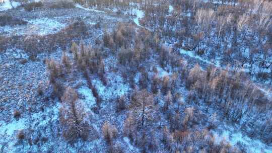 航拍冰雪覆盖的冻土森林湿地