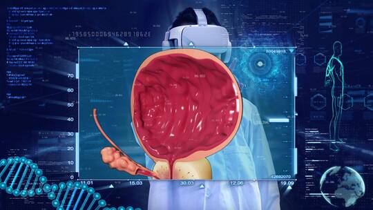 VR虚拟现实智慧医疗前列腺膀胱泌尿ae模板