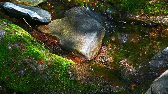 春天阳光下的小溪流石头苔藓与树影