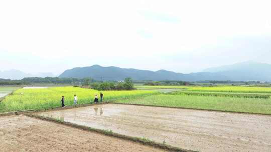 广东省韶关市曲江区樟市镇群星村