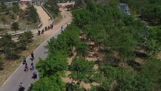 斯巴达勇士少年儿童户外体育运动比赛